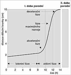 progrese porodního/děložního nálezu