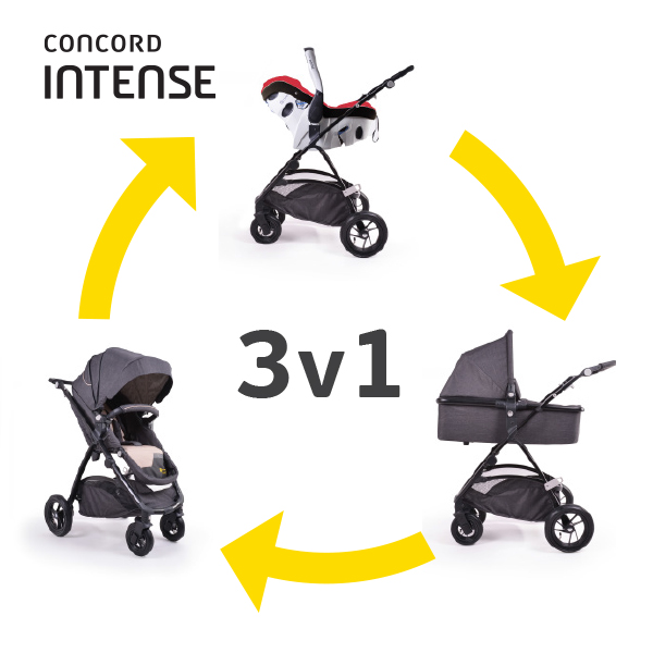 Concord Intense